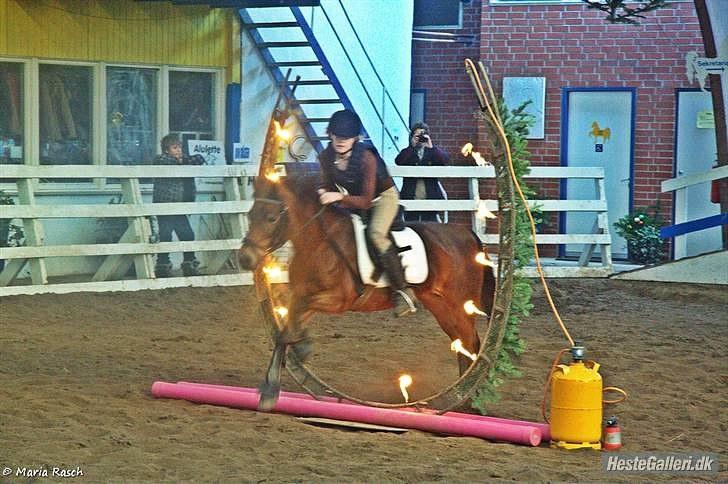 Anden særlig race Trunte † - Fotograf: Maria Rasch - Fordi dette skulle bevise at vi begge vil gå igennem ild og vand !<3 billede 16