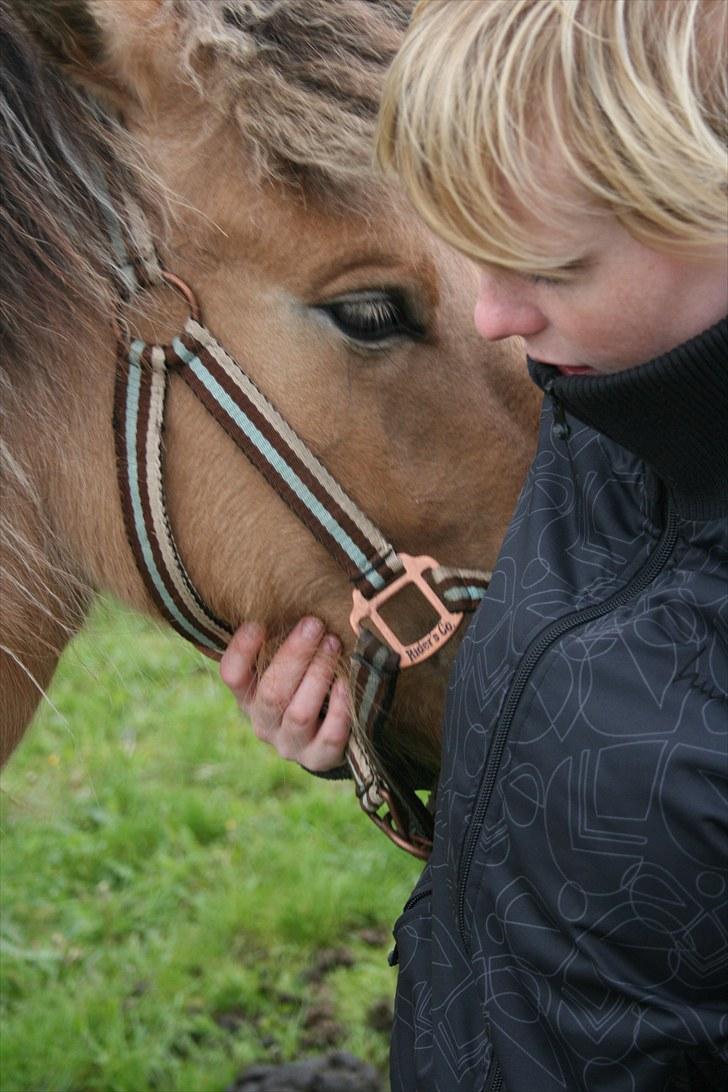 Anden særlig race team linnets spirit billede 9