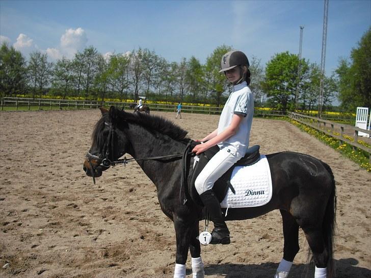 Anden særlig race Dinna<3 billede 10