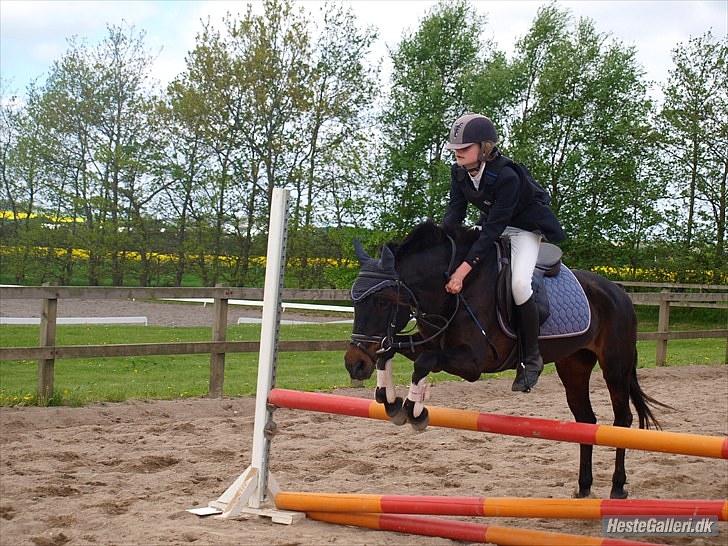 Anden særlig race Dinna<3 billede 12