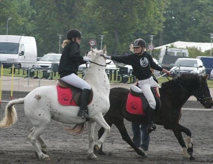 Anden særlig race Dinna<3 billede 13