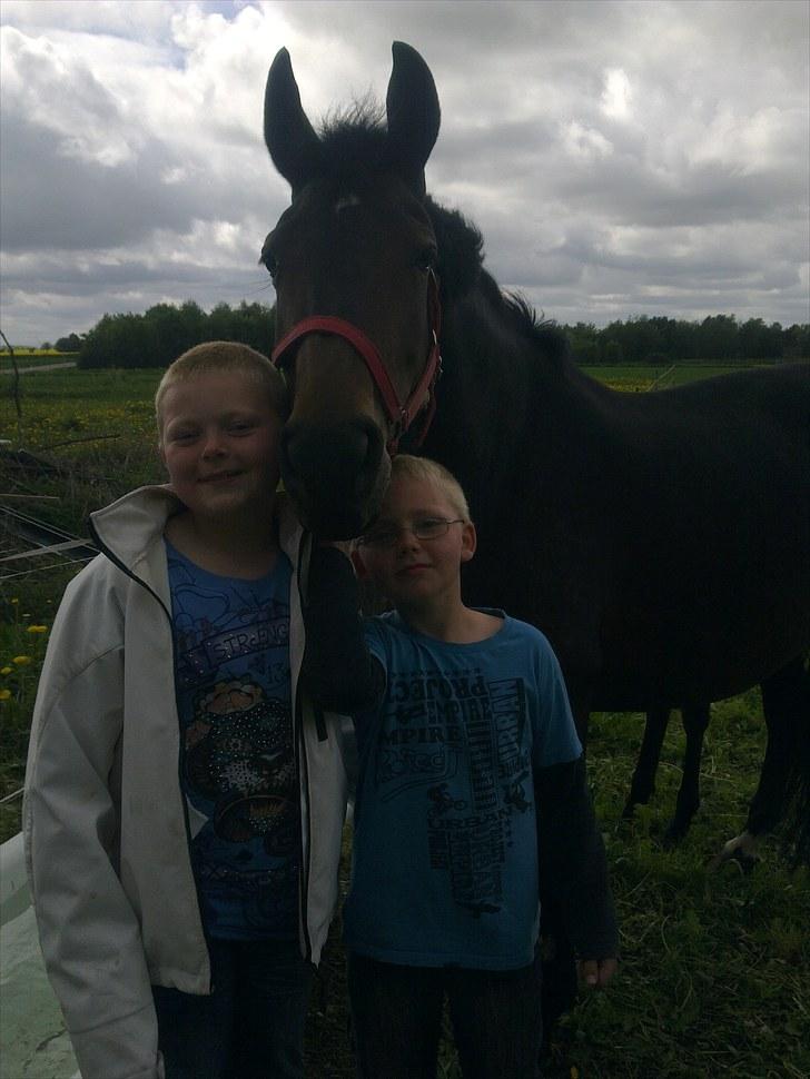 Anden særlig race Margrethenborgs Zamire <3 mit et og alt<3 - 24-5-10.. Hun er da bare skøn billede 14