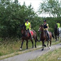 Fuldblod (XX) Chauja RIP :'(