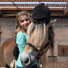 Fjordhest Nanok Romeo