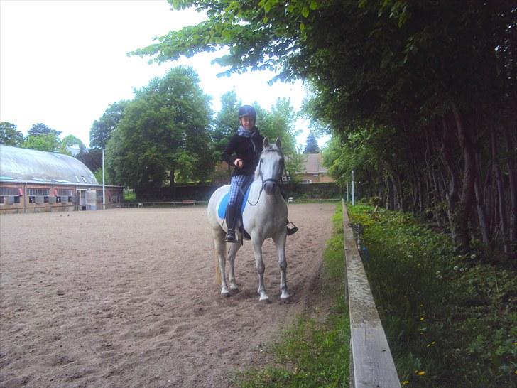 Anden særlig race *Kildegaards Bombay* - Nårhh:) <3 Hva skulle jeg dog gøre uden dig? <3 -Her er vi på banen, Bommer har lige fået øje på kameraet:) billede 18