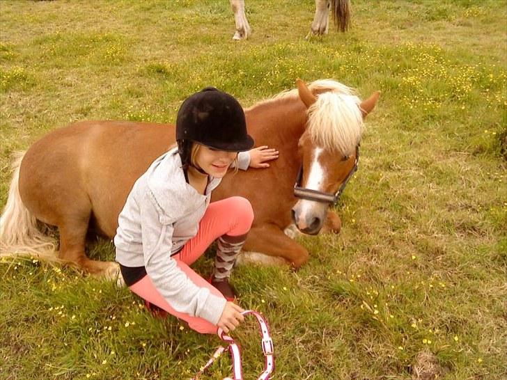 Anden særlig race Sasha DEN SAVNEDE<3 - ;-* billede 14