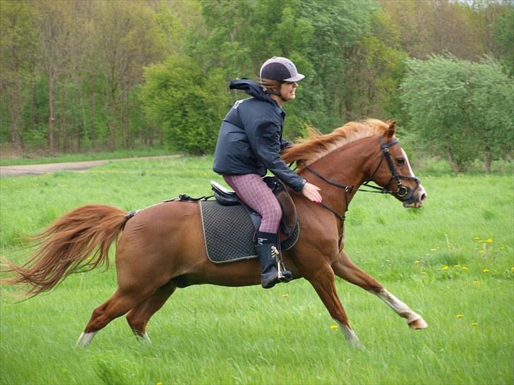 Anden særlig race Fireball - MinBedsteVen <3 - One day, someone will walk into your life and make you see why it never worked out with anyone else :') billede 11