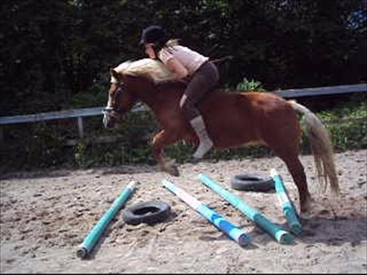 Anden særlig race Sasha DEN SAVNEDE<3 - Du for sej! (; Fotograf: Fie billede 16