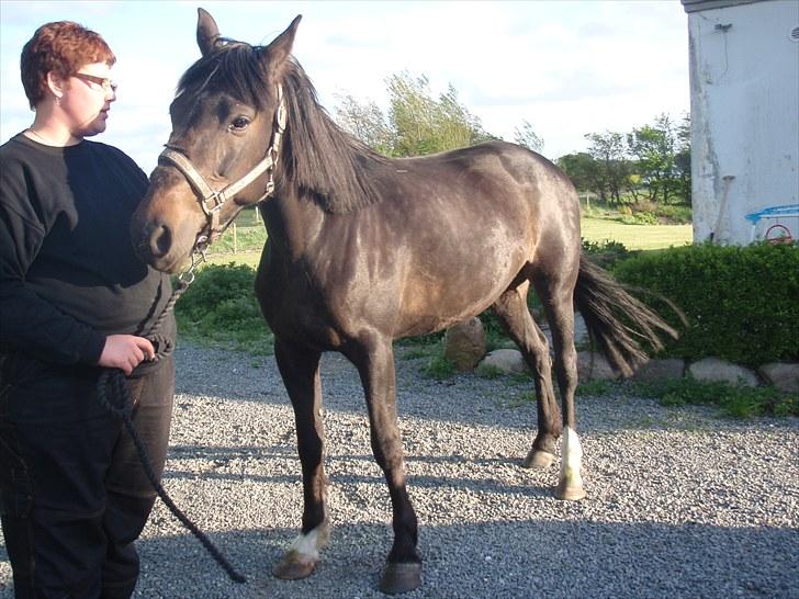 Traver Kildens Josephine Bøg - Josephine billede 6