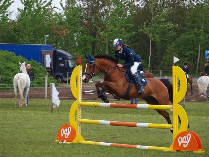 Anden særlig race Flying Filuca! RIP.;( - Stævne Løgstør, sidste spring i hovedrunde!!!<3 La 2.plads!:) billede 8