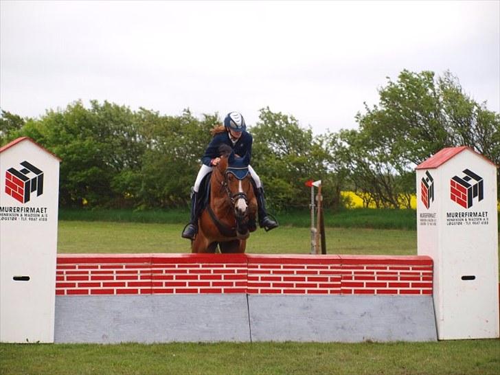 Anden særlig race Flying Filuca! RIP.;( - Stævne i Løgstør LA 2.plads!!!<3 billede 9