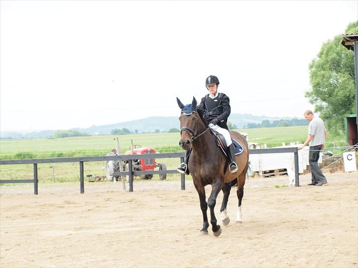 Anden særlig race Tacha af tofthøj mølle.  - Mor og Tachas første stævne billede 18