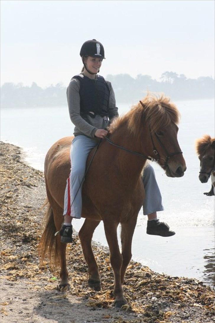 Islænder Rós fra Sauðanesi - Rós første tur ud í vandet :) billede 19