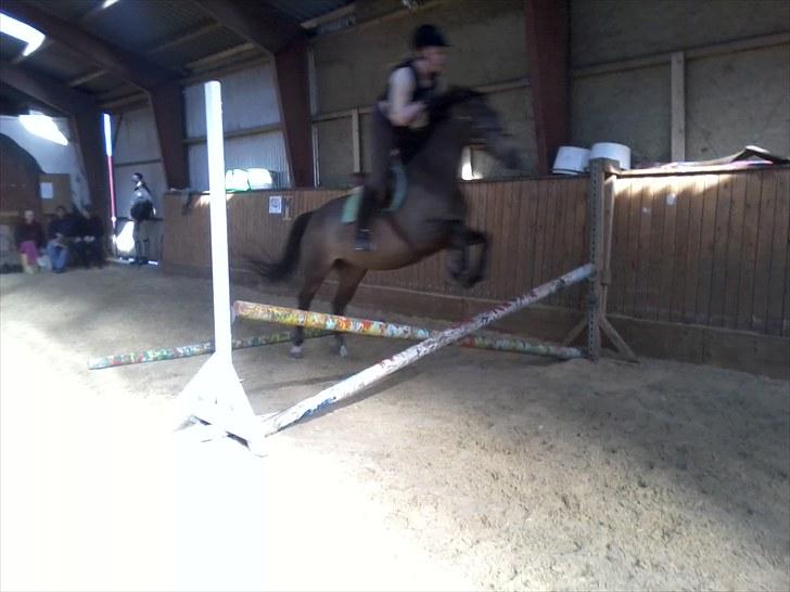 Anden særlig race Sylle<3 | Solgt | :'( billede 8