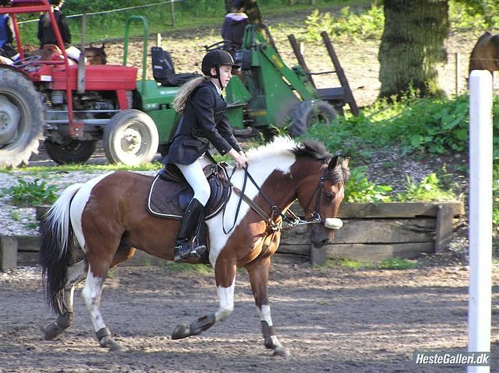 Anden særlig race Ponnie B-pony - Ridelejr på Egene for lang tid siden. billede 5