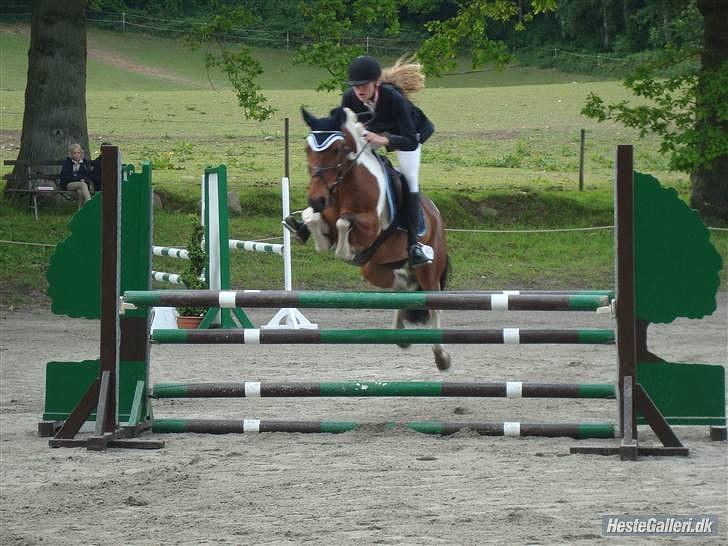 Anden særlig race Ponnie B-pony - MB på Egene 2009 - red med 0 fejl. billede 6