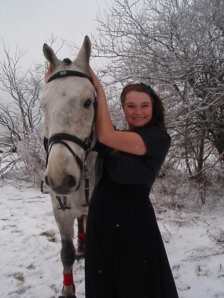 Holstener Contino billede 5