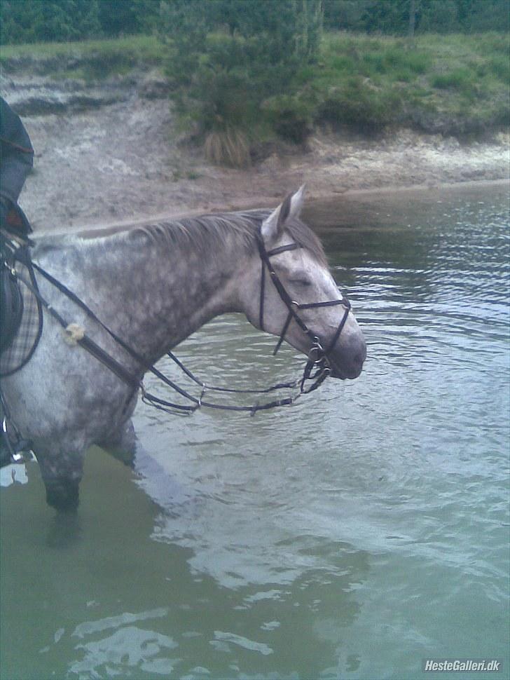 Holstener Contino - Hvor er vandet bare dejlig :) billede 9