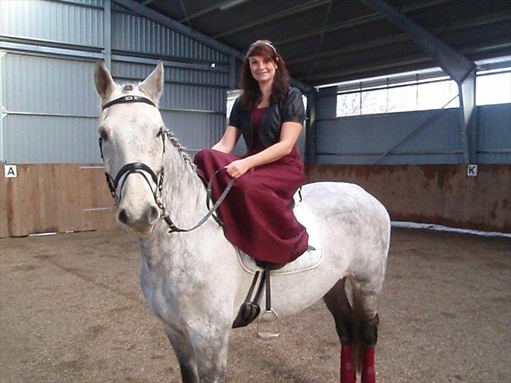 Holstener Contino billede 10