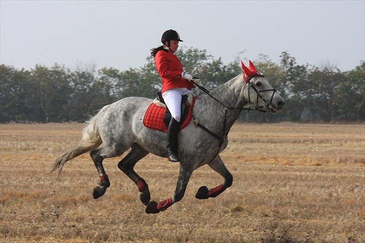 Holstener Contino - Vil gerne lige sige at begge bøjler mangler. billede 12