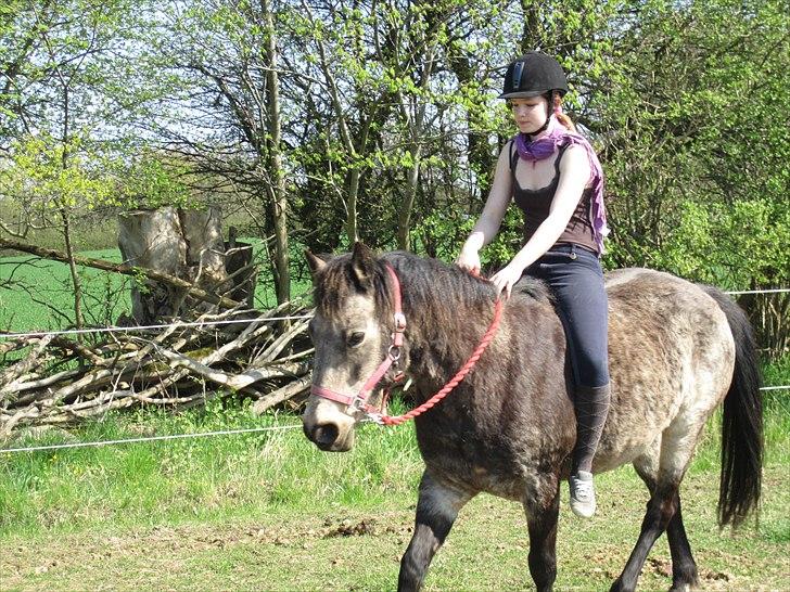 Connemara Goldie - Din måde at løbe på, gør mig glad :* <3 April 2011 billede 4