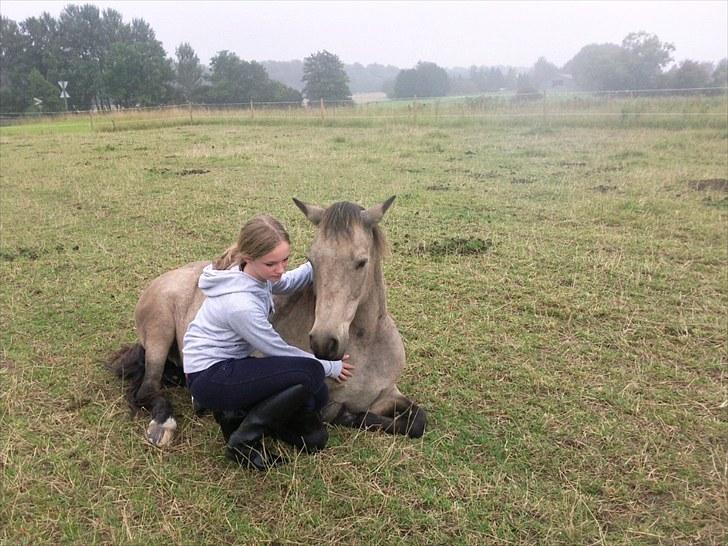 Connemara Goldie - For hvert sekund jeg er sammen med dig, føler jeg mig mere i live! :* <3 billede 5