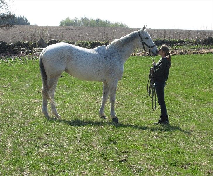 Hannoveraner Ferrari - #17  27. marts 2011 billede 10