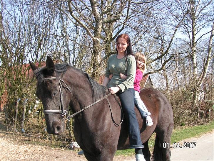 Traver Another st ( RIP ) død 17 dec 2018 billede 6