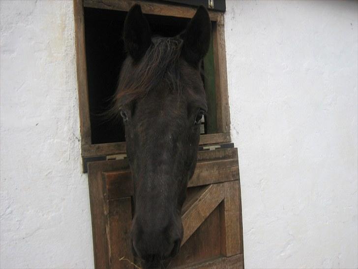 Traver Another st ( RIP ) død 17 dec 2018 billede 7