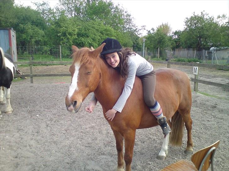 DSP Hubertus Passer - Krammer ;i <3 billede 7