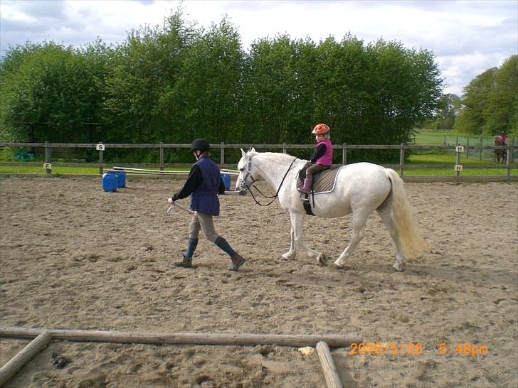 Anden særlig race Ragna - Agility i den lokale rideklub. billede 5