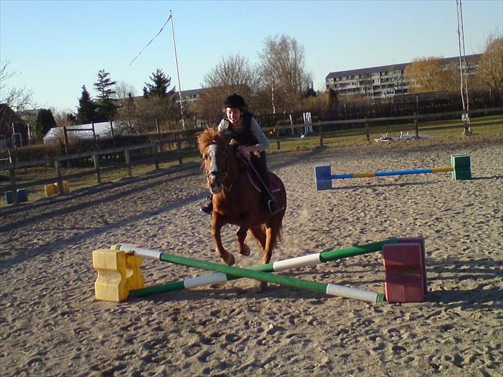 DSP Hubertus Passer - Det bedste spring billede - efter min mening. 
Hube's første spring efter en laaaaaang ferie.  billede 10