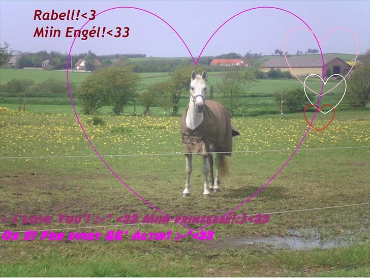 Connemara Rabel'<33 'Solgt'<3 - Halløjsa smuksak!<33 billede 17