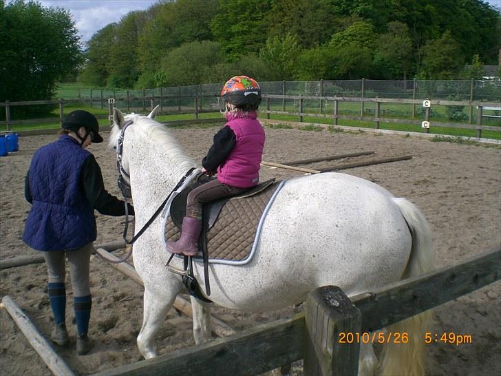 Anden særlig race Ragna - Agility i den lokale rideklub. billede 6