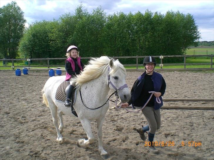 Anden særlig race Ragna - Agility i den lokale rideklub. billede 7