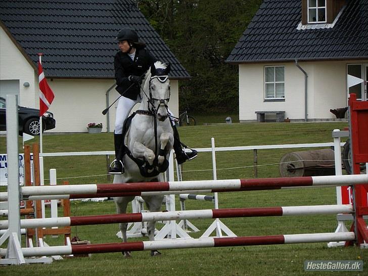 Knabstrupper Ziggie Stardust <3 - morsø 2010<3 foto:Ninna Blowers tak:) billede 9