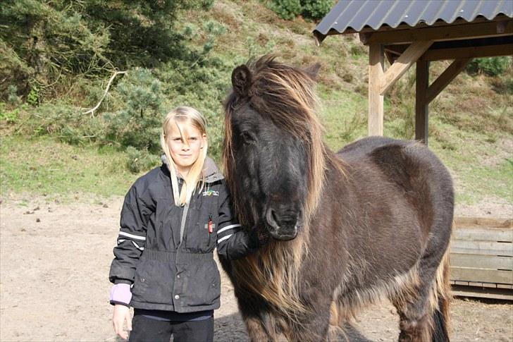 Islænder Lappi fra Hobro - Frederikke og Lappi billede 18