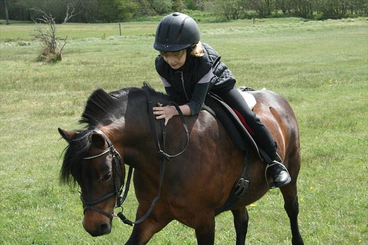 Dartmoor Mille Musen. ..solgt billede 7