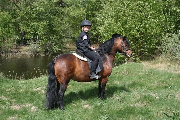 Dartmoor Mille Musen. ..solgt billede 8