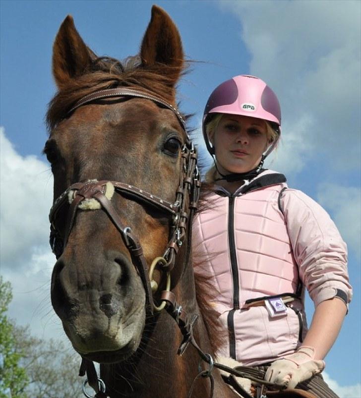 Anden særlig race Quidam *Himmelhest* billede 14