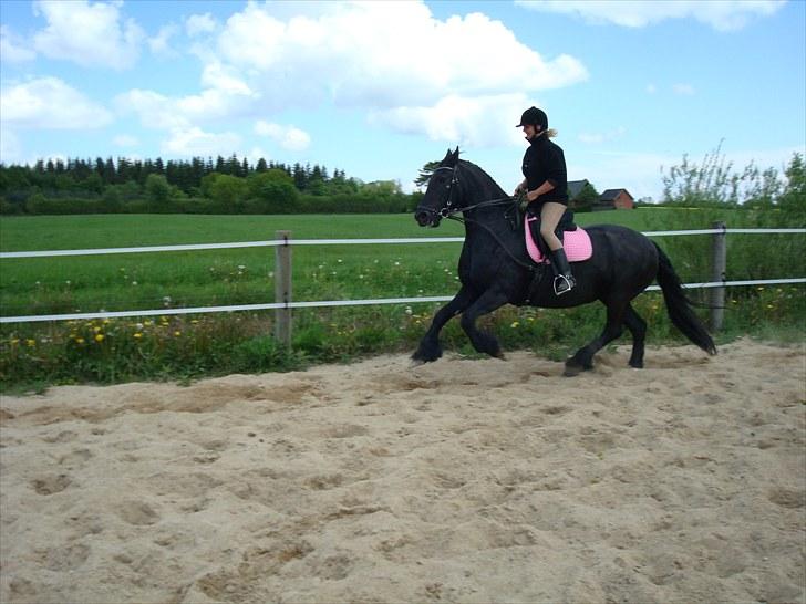 Frieser altruida k - Min mor i fuld galop på mig :-) billede 11