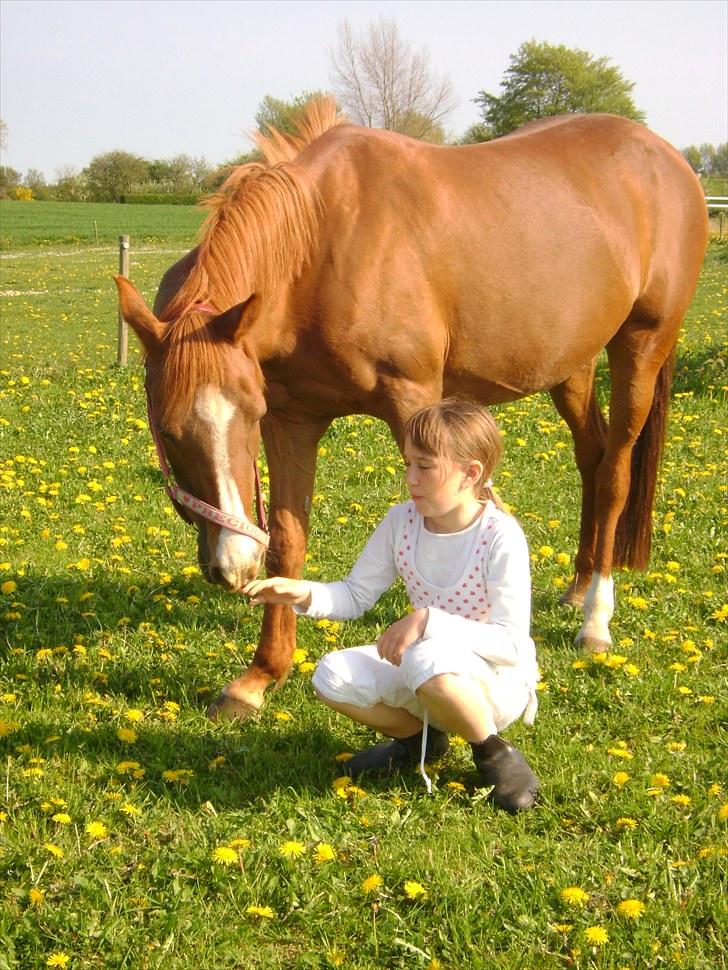 Anden særlig race Bella - <3 :D billede 15