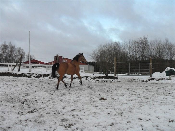 Anden særlig race Bratz <3 - Fra fold i vinters (; billede 8