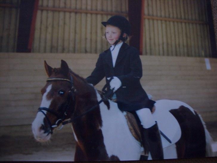 DSP Poseidon billede 16