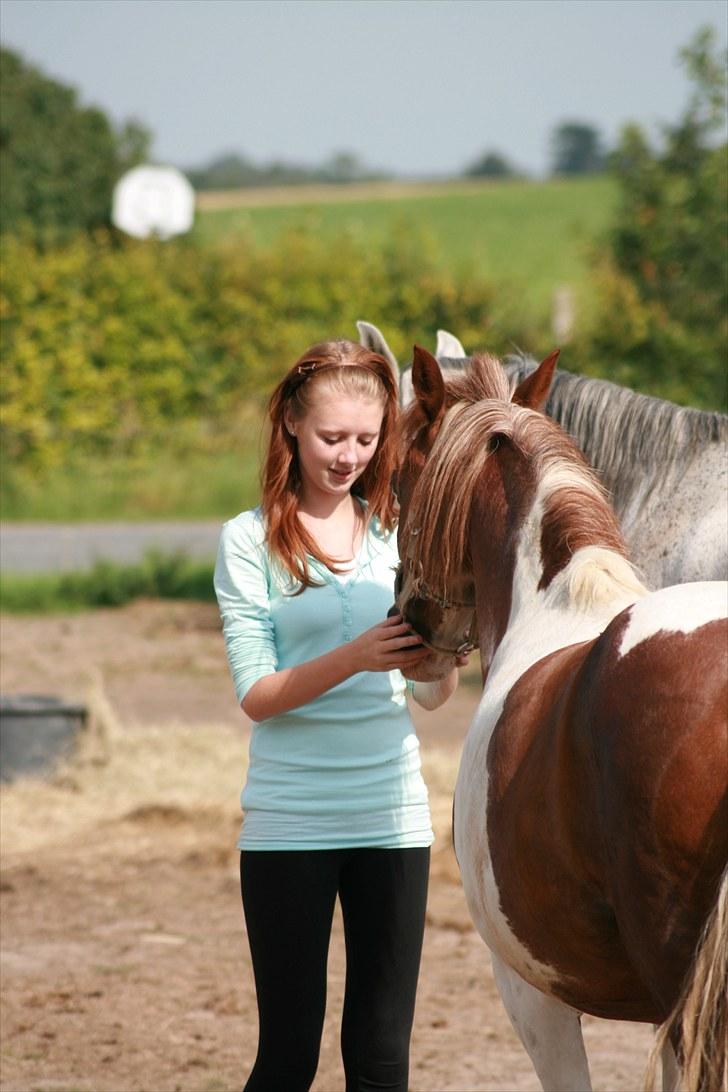 DSP Poseidon billede 20