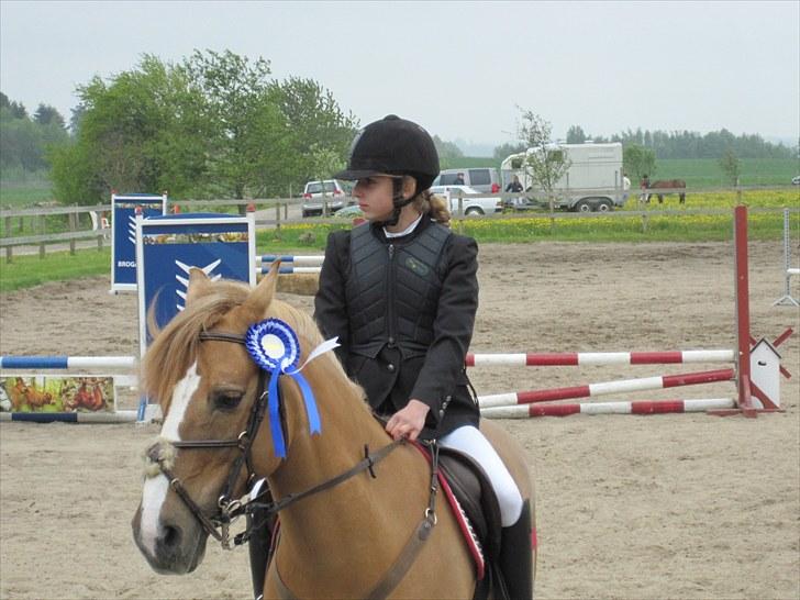 Anden særlig race Golden Amber..Hjemme igen<3 billede 9