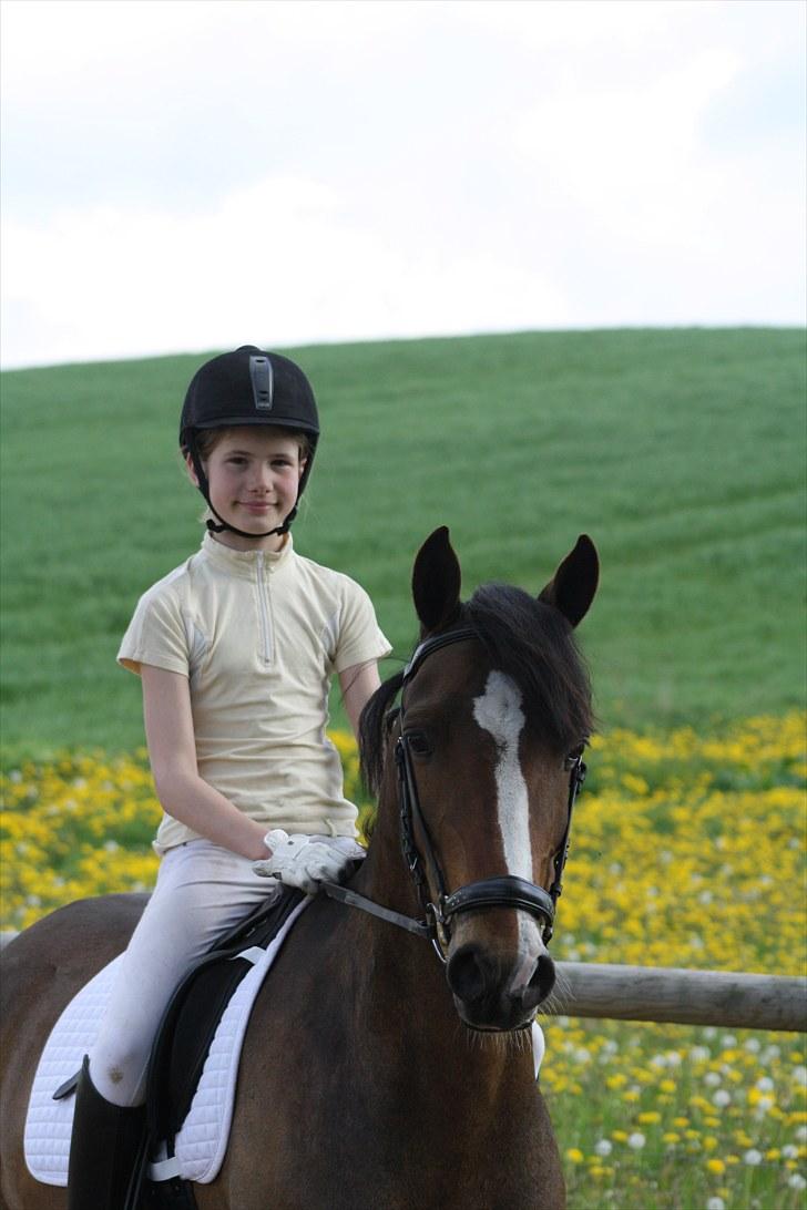 Anden særlig race Dream step *A- PONY!* - På ridebanen første gang, smiiil...;P billede 5