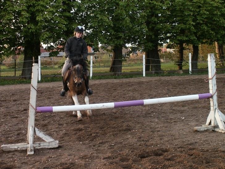 Anden særlig race Oliver Gl. Passer :-( billede 2