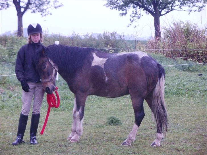 Anden særlig race Oliver Gl. Passer :-( billede 10