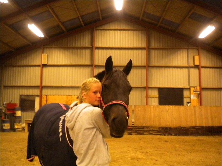 Welsh Cob (sec D) Bette *tidligere part<3* - Sidste dag med dig :( billede 5